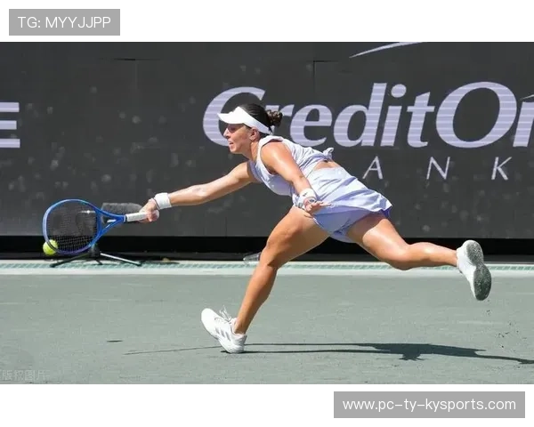 _历史回顾：网坛经典比赛盘点_，网坛冠军是什么意思