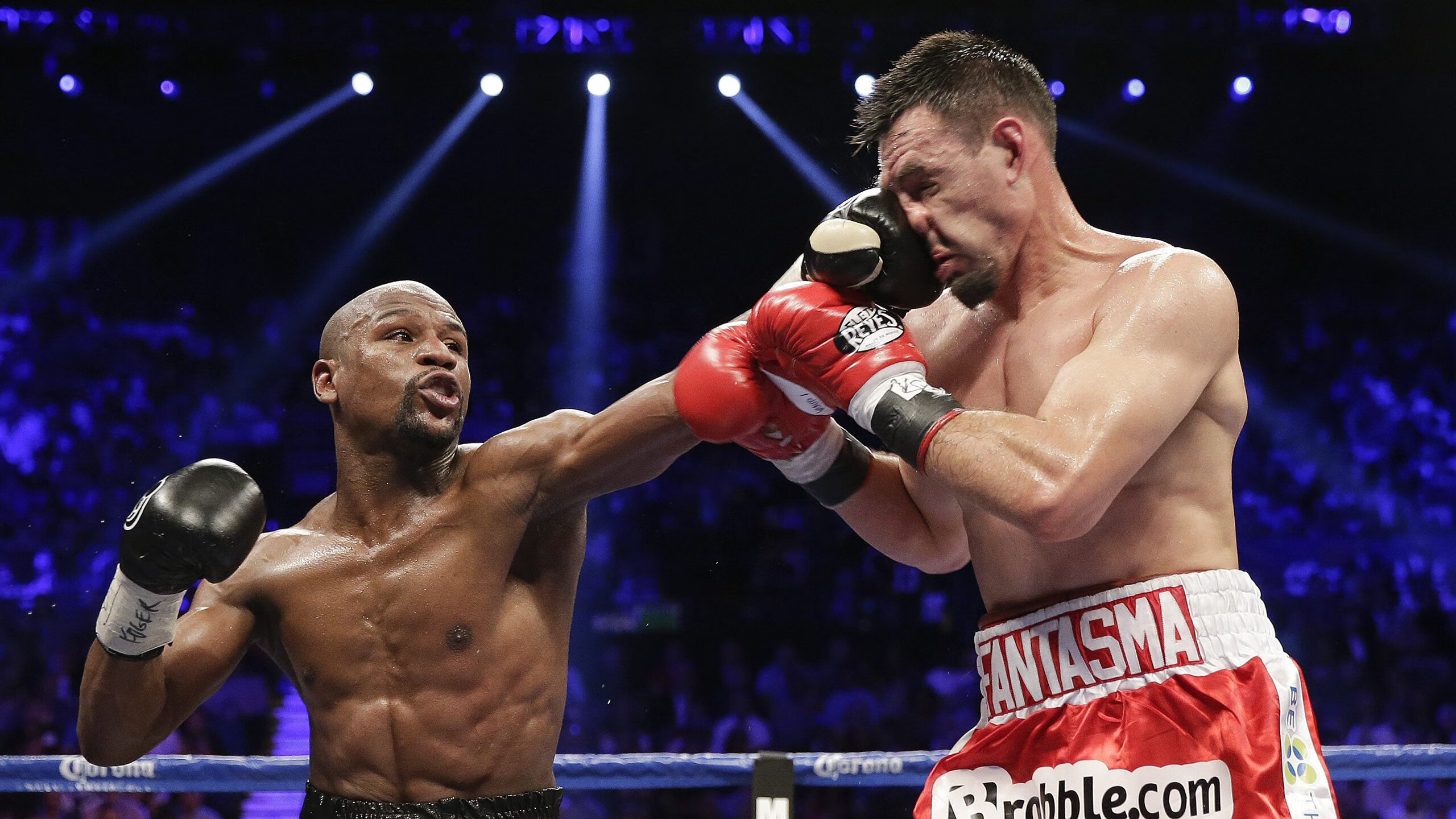 南非羚羊队的团队合作：队员之间默契配合，集体主义才是成功之本