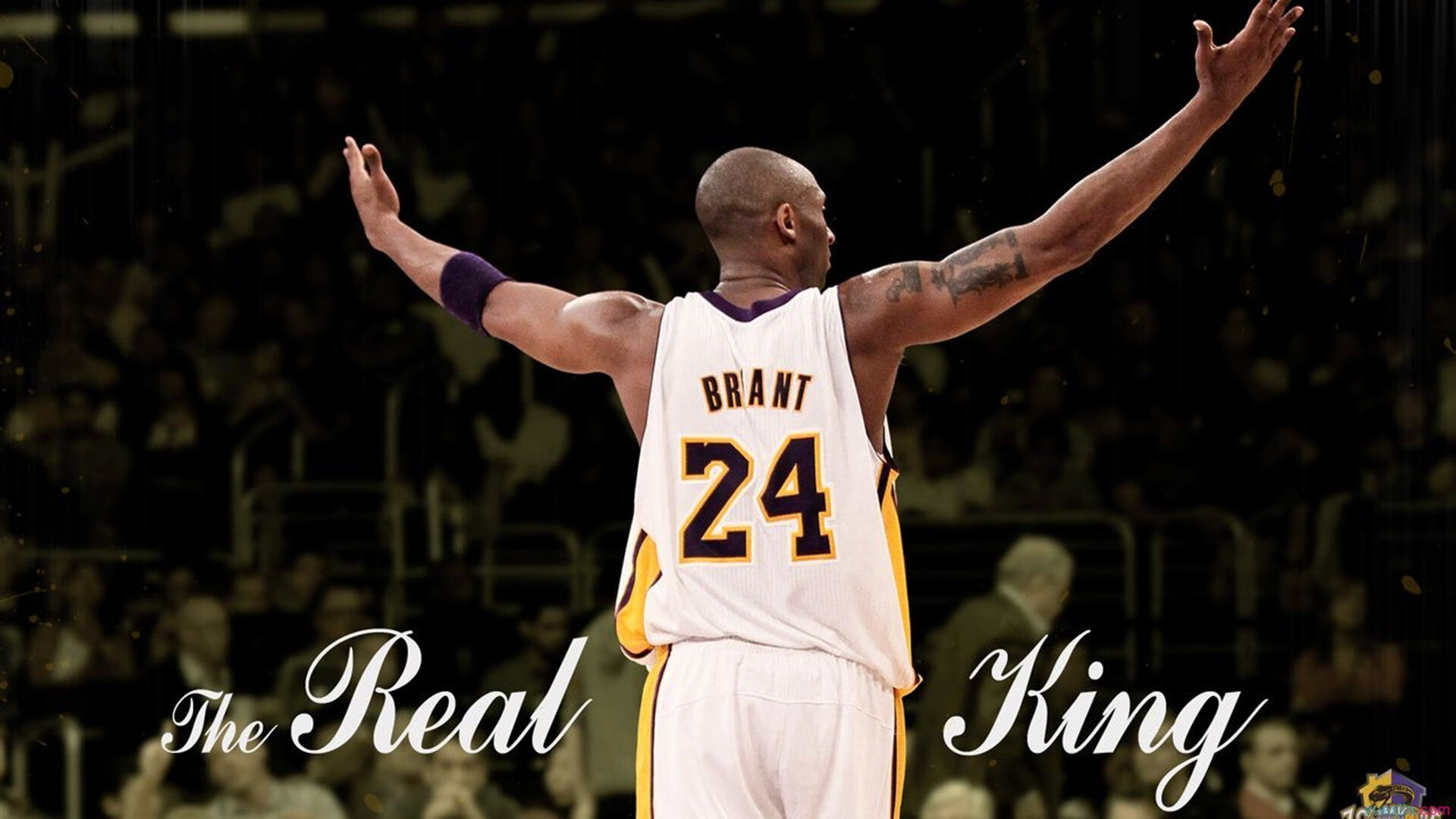 CBA赛场让世界看到中国速度，cba的比赛时长多少